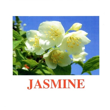 "Flowers-2" ("Цветы-2") английские карточки Домана - «globural.ru» - Тихорецк