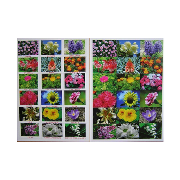 Английское лото "Цветы - травы" - «globural.ru» - Тихорецк