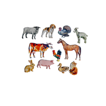 Фланелеграф "Домашние животные" - «globural.ru» - Тихорецк