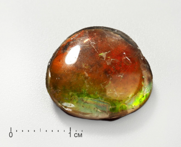 Аммолит (ископаемый перламутр аммонита) с горным хрусталем, дублет - «globural.ru» - Тихорецк