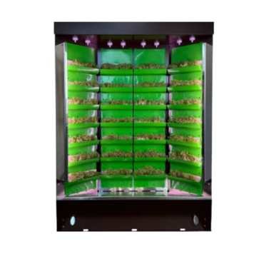 Вертикальная ферма "Моя Микрозелень" комплектация "Театро настольная" - «globural.ru» - Тихорецк