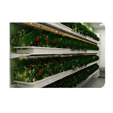 Стеллаж для выращивания клубники "Стена" - «globural.ru» - Тихорецк