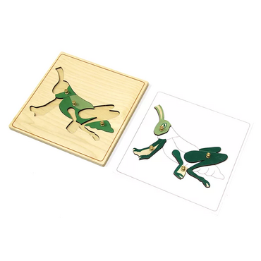 Строение кузнечика с контуром - «globural.ru» - Тихорецк