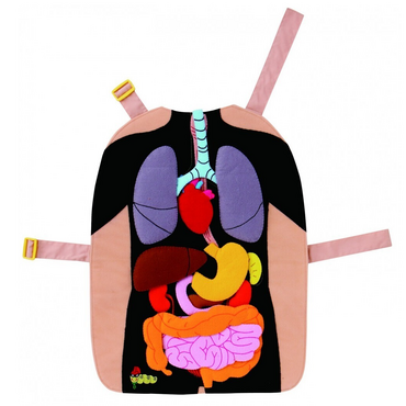 Фланелеграф-фартук "Анатомия" - «globural.ru» - Тихорецк