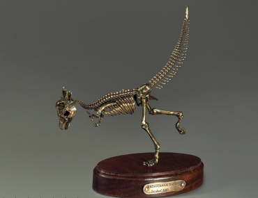 Модель скелета динозавра Pachycephalosaurus - «globural.ru» - Тихорецк