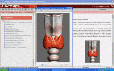 Анатомия онлайн. Школьный атлас - «globural.ru» - Тихорецк