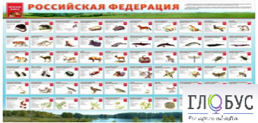 Стенд "Красная книга РФ" - «globural.ru» - Тихорецк