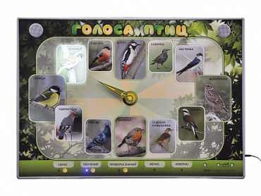 Электрифицированный стенд-часы "Голоса птиц" с комплектом дидактического материала - «globural.ru» - Тихорецк