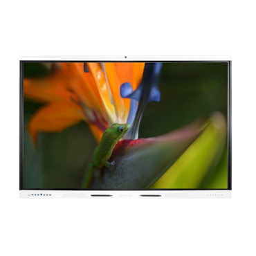 Интерактивная панель Geckotouch Interactive 98SL - «globural.ru» - Тихорецк