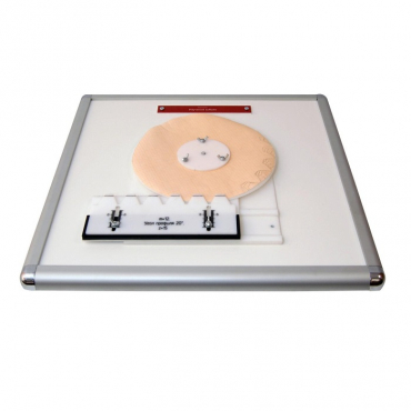 Комплекс "Изучение зубьев" - «globural.ru» - Тихорецк