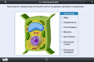 Интерактивные курсы. Биология 9 класс. Базовый - «globural.ru» - Тихорецк