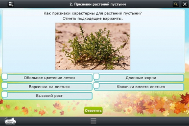 Интерактивные курсы. Окружающий мир 3 класс. Базовый - «globural.ru» - Тихорецк