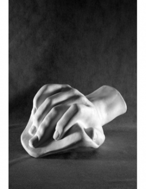 Кисть Давида - «globural.ru» - Тихорецк