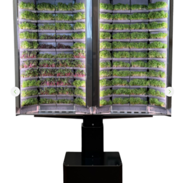 Вертикальная  ферма «Моя микрозелень» комплектация  «Театро настенная» - «globural.ru» - Тихорецк