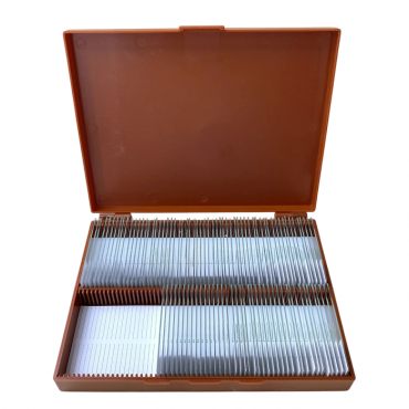 Комплект микропрепаратов по анатомии, ботанике, зоологии, общей биологии - «globural.ru» - Тихорецк