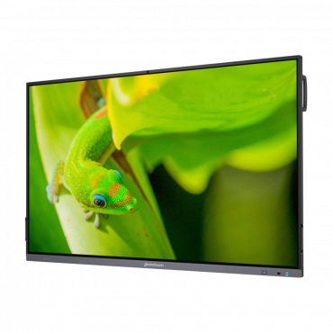 Интерактивный программно-аппаратный комплекс Geckotouch Interactive IP75GT-C в комплекте с настенным креплением - «globural.ru» - Тихорецк
