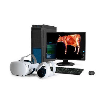 Интерактивный учебный комплекс «Анатомия Коровы» - «globural.ru» - Тихорецк