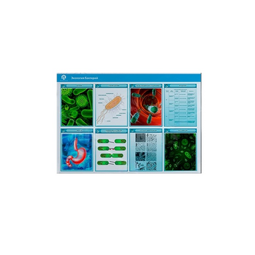 Стенд-планшет светодинамический «Изучение экологии бактерий» - «globural.ru» - Тихорецк