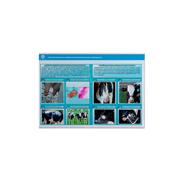 Стенд-планшет светодинамический «Изучение асептических и гнойных воспалительных процессов» - «globural.ru» - Тихорецк