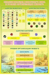 Стенд "Классификация животного мира" - «globural.ru» - Тихорецк