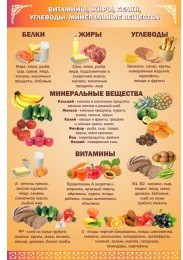 Стенд "Витамины, жиры, углеводы" - «globural.ru» - Тихорецк