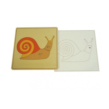 Строение улитки с контуром - «globural.ru» - Тихорецк