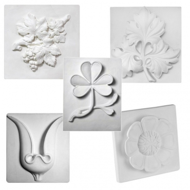 Комплект гипсовых моделей растений  - «globural.ru» - Тихорецк